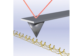Illustration for article titled New Double Helix Visualization Revises What We Know About DNA